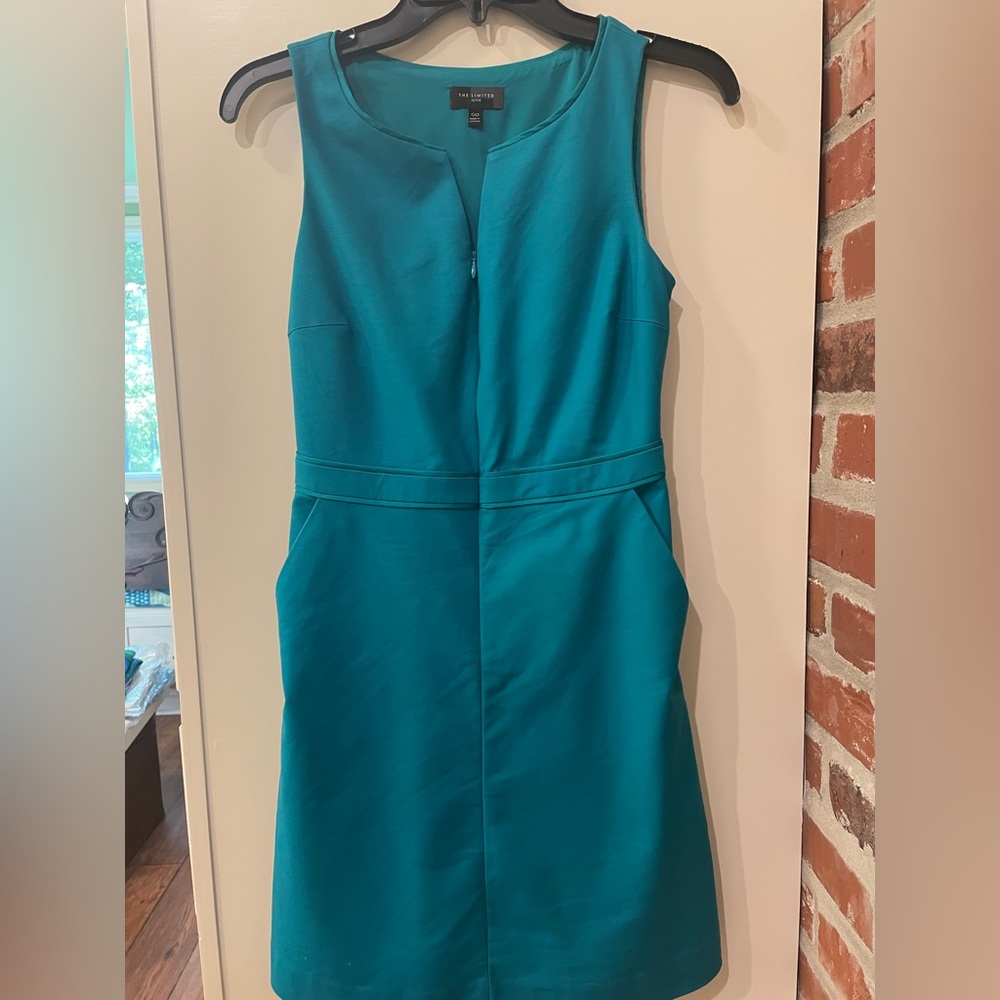 The Limited dress